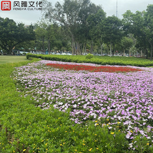 中国学生男男GayXNXX
